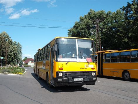 akd_44.jpg